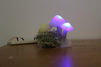 06 Prototype champignon Sophie Perry