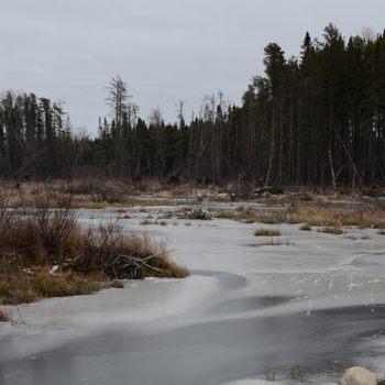 Hiver 3