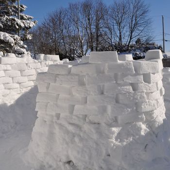 forts neige