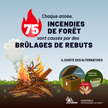 Feux-de-printemps_SOPFEU_2024