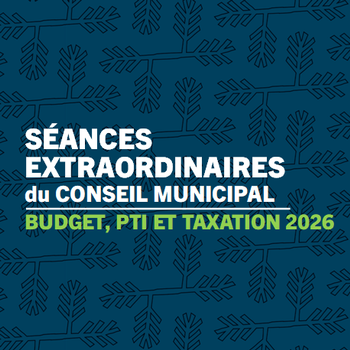 Site Avis séances budget 2026