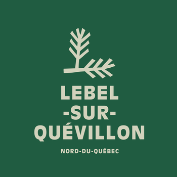 LSQ_LOGOS_RVB-05_vert pale carré