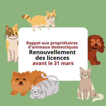 rappel licences 31 mars