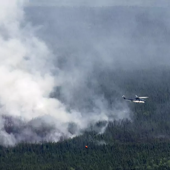Incendie feux de forêt